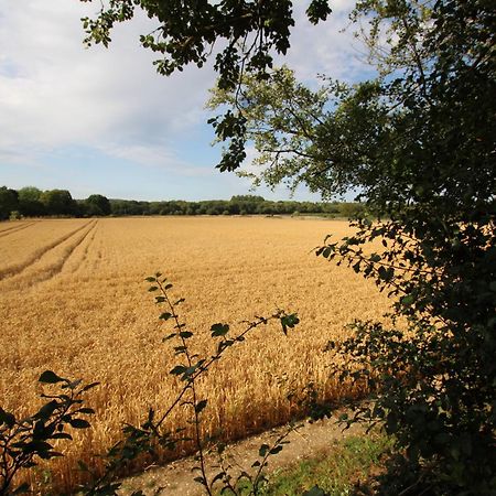 Cowslip Barn Annexe, Countryside Stay Near Chichester Esterno foto